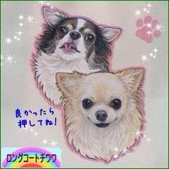 にほんブログ村 犬ブログ ロングコートチワワへ
