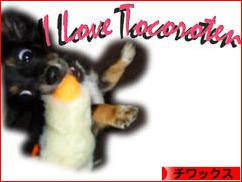 にほんブログ村 犬ブログ チワックスへ