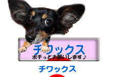 にほんブログ村 犬ブログ チワックスへ