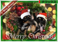 にほんブログ村 犬ブログ チワックスへ