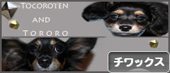にほんブログ村 犬ブログ チワックスへ