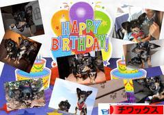 にほんブログ村 犬ブログ チワックスへ