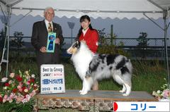 にほんブログ村 犬ブログ コリーへ