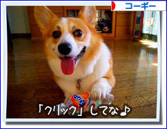 にほんブログ村 犬ブログ コーギーへ
