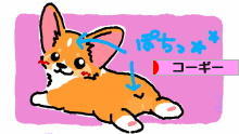 にほんブログ村 犬ブログ コーギーへ