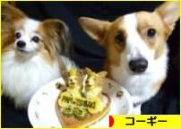 にほんブログ村 犬ブログ コーギーへ