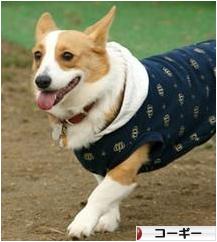 にほんブログ村 犬ブログ コーギーへ