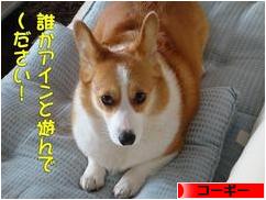 にほんブログ村 犬ブログ コーギーへ