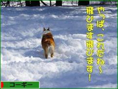 にほんブログ村 犬ブログ コーギーへ