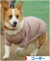 にほんブログ村 犬ブログ コーギーへ