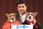 にほんブログ村 犬ブログ コーギーへ