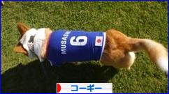 にほんブログ村 犬ブログ コーギーへ