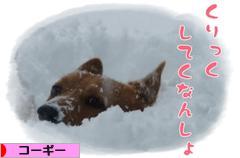 にほんブログ村 犬ブログ コーギーへ