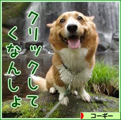 にほんブログ村 犬ブログ コーギーへ
