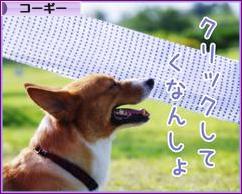 にほんブログ村 犬ブログ コーギーへ
