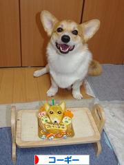 にほんブログ村 犬ブログ コーギーへ