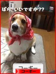 にほんブログ村 犬ブログ コーギーへ