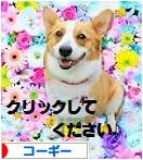 にほんブログ村 犬ブログ コーギーへ