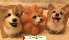 にほんブログ村 犬ブログ コーギーへ