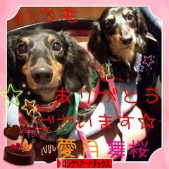 にほんブログ村 犬ブログ ロングヘアードダックスフンドへ