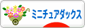 にほんブログ村 犬ブログ ミニチュアダックスフンドへ