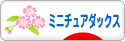 にほんブログ村 犬ブログ ミニチュアダックスフンドへ