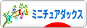 にほんブログ村 犬ブログ ミニチュアダックスフンドへ
