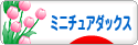 にほんブログ村 犬ブログ ミニチュアダックスフンドへ