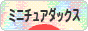 にほんブログ村 犬ブログ ミニチュアダックスフンドへ