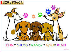 にほんブログ村 犬ブログ ミニチュアダックスフンドへ