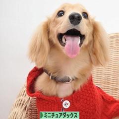 にほんブログ村 犬ブログ ミニチュアダックスフンドへ