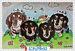 にほんブログ村 犬ブログ ミニチュアダックスフンドへ