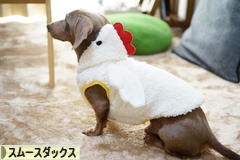 にほんブログ村 犬ブログ スムースダックスフンドへ