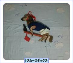 にほんブログ村 犬ブログ スムースダックスフンドへ