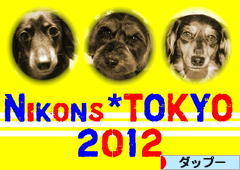 にほんブログ村 犬ブログ ダップーへ