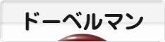 にほんブログ村 犬ブログ ドーベルマンへ