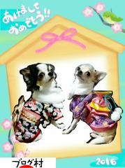 にほんブログ村 犬ブログ 犬 ブリーダーへ