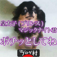 ロイヤルカナン心臓サポート2ドライ 心疾患の犬用療法食です 危険物質を丁寧に説明します チワワ専門ブリーダー ありのままのチワワ論