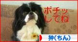 にほんブログ村 犬ブログ 狆（ちん）へ