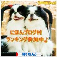 にほんブログ村 犬ブログ 狆(ちん)へ
