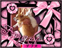 にほんブログ村 犬ブログ デブ犬へ