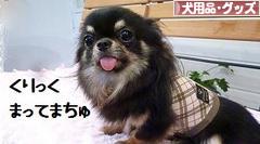 にほんブログ村 犬ブログ 犬用品・グッズへ
