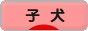 にほんブログ村 犬ブログ 子犬へ