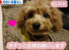 にほんブログ村 犬ブログ 犬のいる暮らしへ