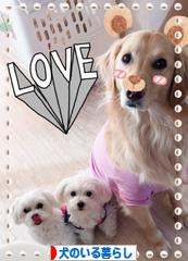 にほんブログ村 犬ブログ 犬のいる暮らしへ