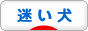 にほんブログ村 犬ブログ 迷い犬・迷子犬へ