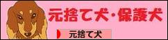 にほんブログ村 犬ブログ 元捨て犬・元保護犬へ