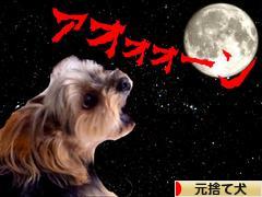 にほんブログ村 犬ブログ 元捨て犬・元保護犬へ