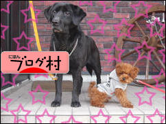 にほんブログ村 犬ブログ 犬 ２頭飼いへ