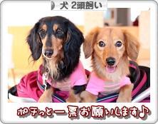 にほんブログ村 犬ブログ 犬 ２頭飼いへ